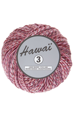 hawai 3 604